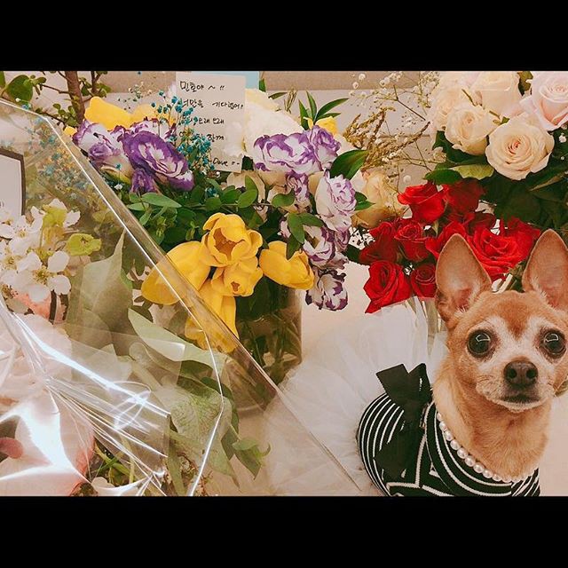Lee Min Ho chính thức trở lại